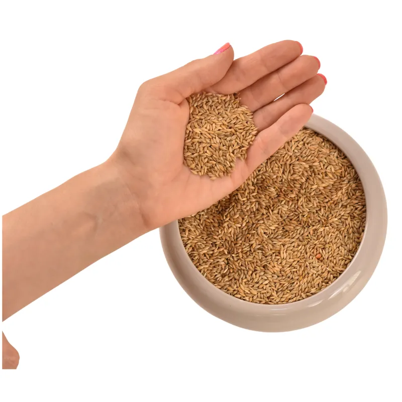 ALPISTE +B  25 KG SACOS