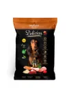 DELICIAS BOLSA ADULTO