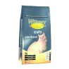 Willowy gold cats sterilized - 10 Kg