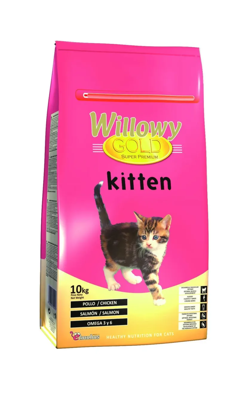 Willowy gold kitten - 2 Kg