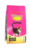 Willowy gold kitten - 2 Kg