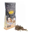 Willowy gold puppy - 3 Kg