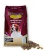 Willowy gold rainforced lamb&rice - 15 Kg