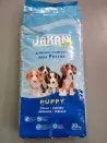 Jakan puppy - 4 Kg