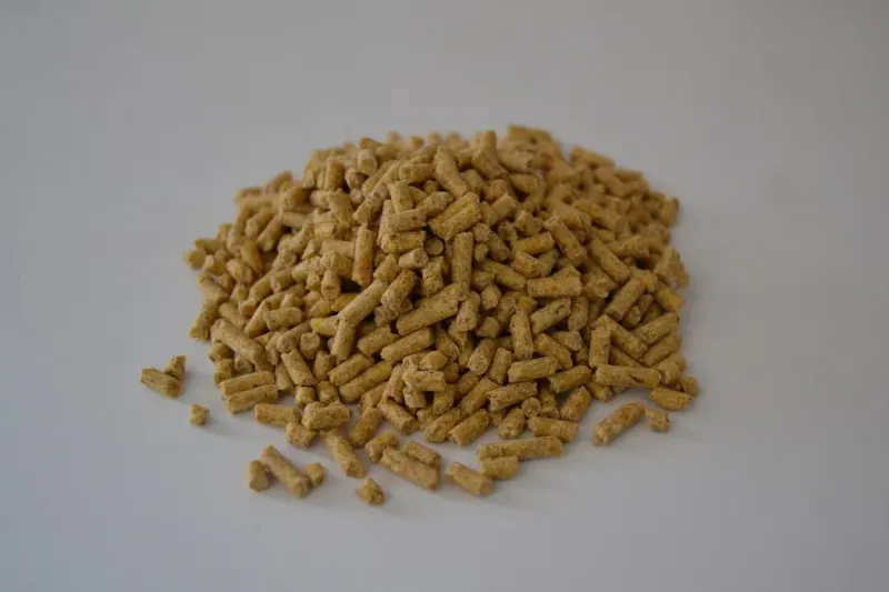 Pavos engorde - 5 Kg