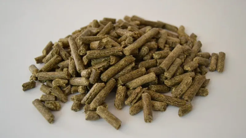 Alfalfa granulada - 1 Kg