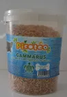 PICOTEO GAMMARUS - 15 gr