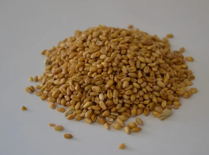 Trigo - 5 Kg