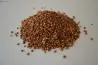 Sorgo - 5 Kg