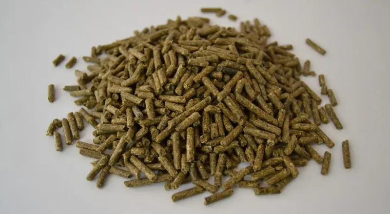 Conejos engorde - 10 Kg