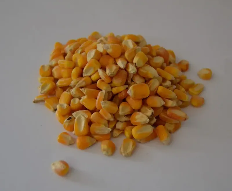 Maiz pequeño - 10 Kg