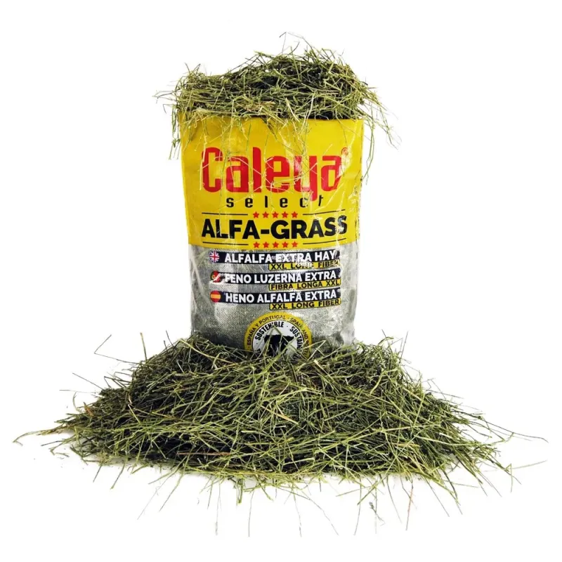 SELECT HAY -ALFALFA GRASS F-XXL 80 L