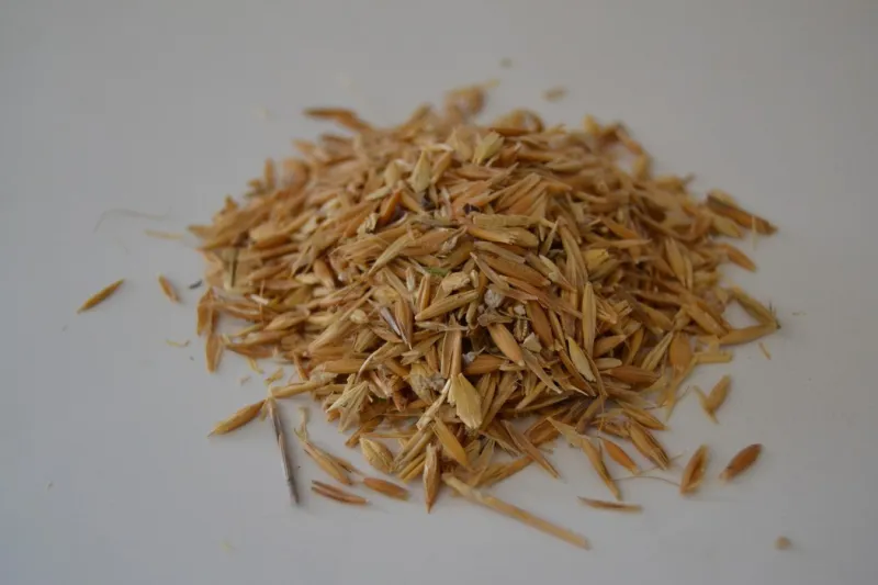 Avena aplastada 20 Kg