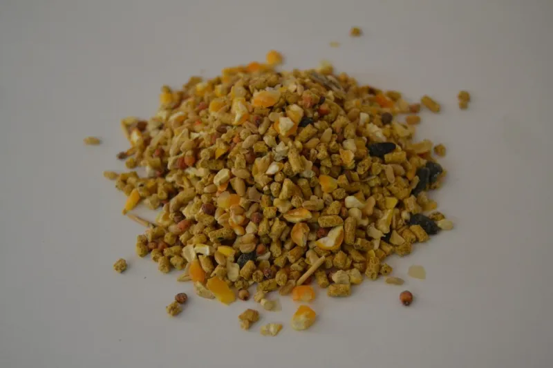 Ponedoras Picoteo 25 Kg