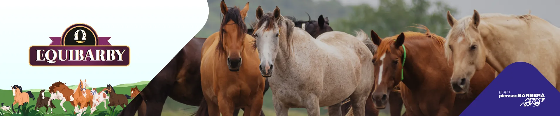 Caballos